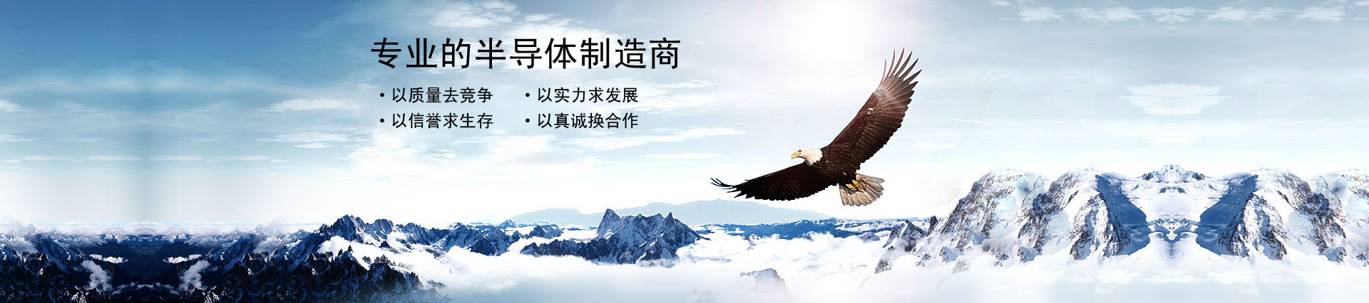 深圳市和芯電子有限公司